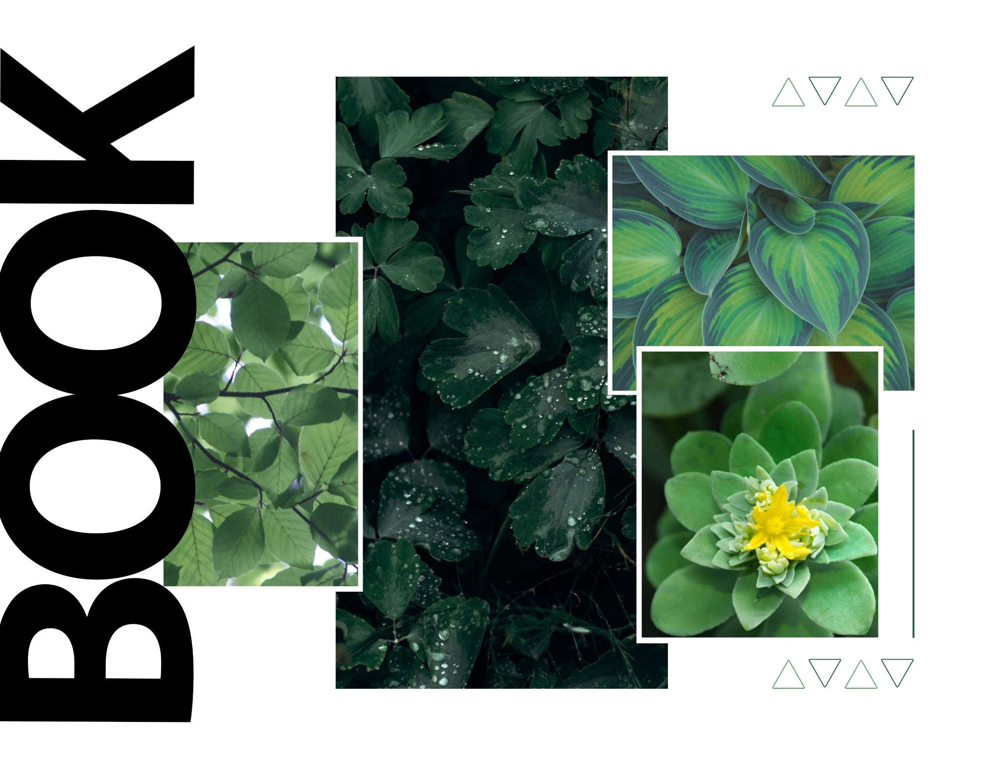 Modern Photo Collage Book & Album