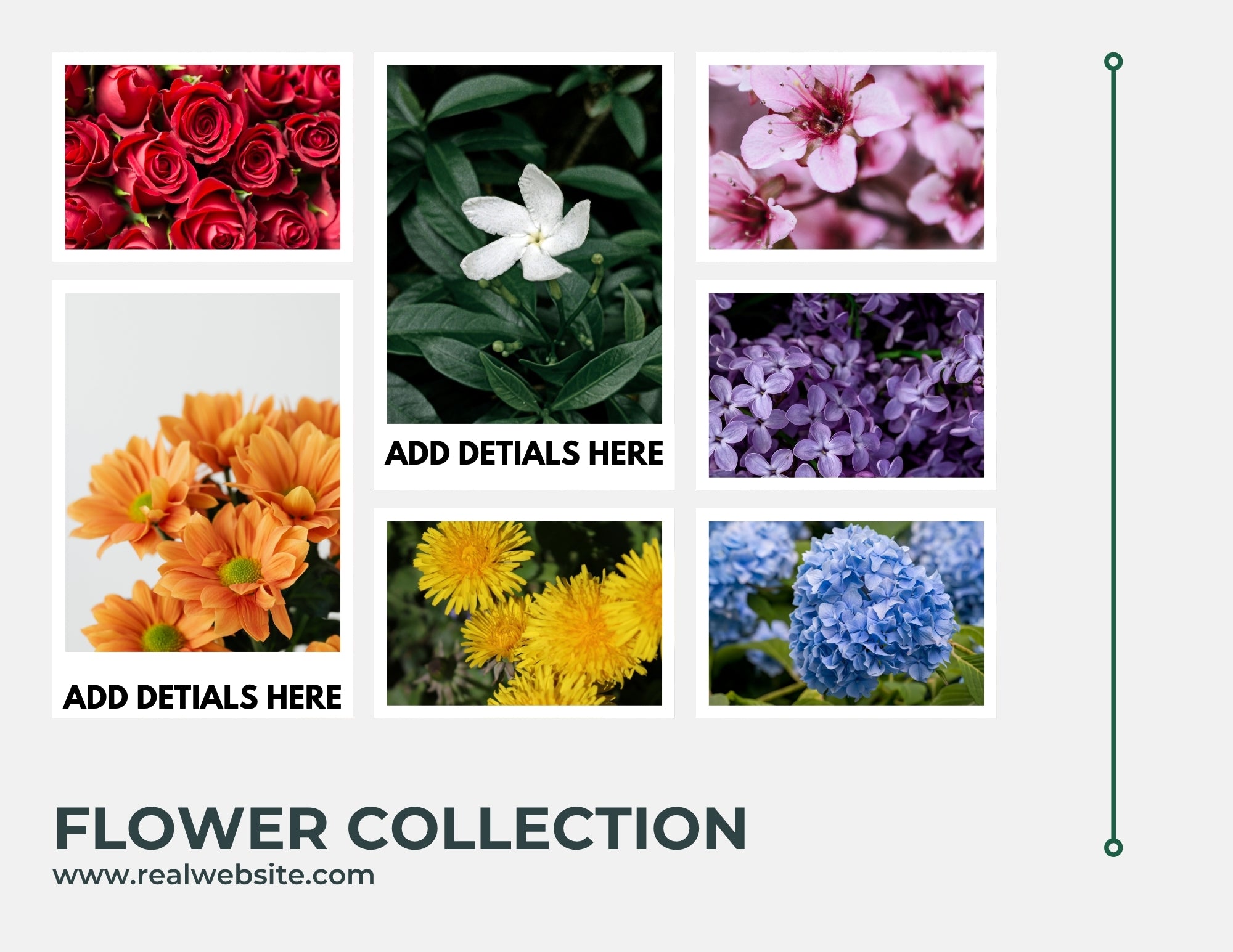 Modern Photo Collage Book & Album